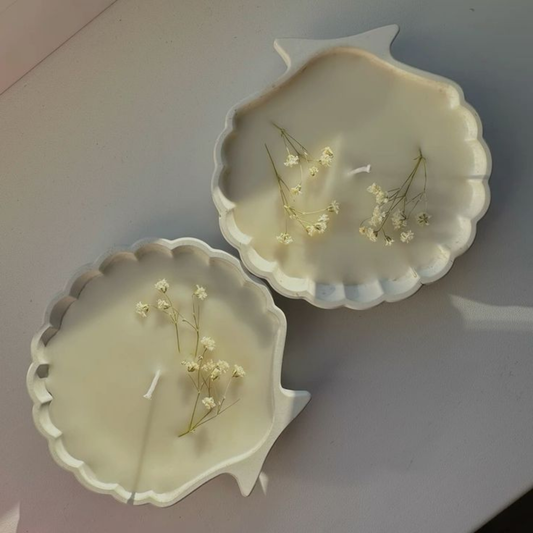 Shell Candle